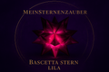 Bascetta Stern lila, handgefaltet, aus Papier, festliche Dekoration, Weihnachtsdeko, Handarbeit, MeinSternenzauber. Hochzeitstisch, elegant, Handgefaltete Bascetta Sterne in verschiedenen Farben, dekorativ,